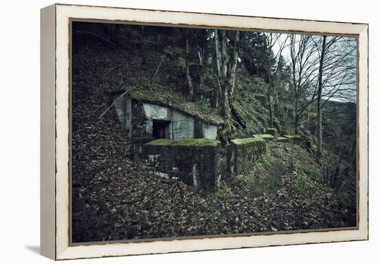 Remains of a bunker on mountain in a wood in winter in Alsace-Axel Killian-Framed Premier Image Canvas