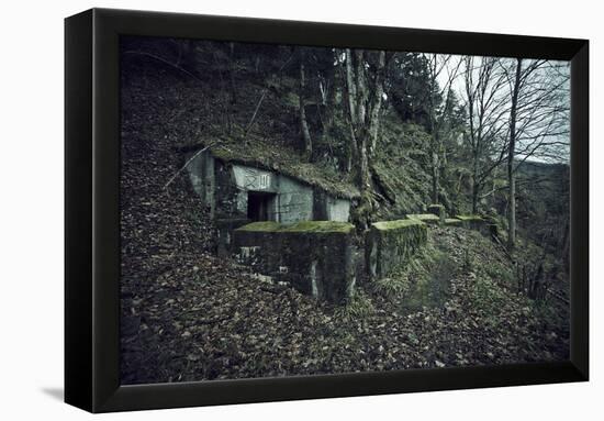 Remains of a bunker on mountain in a wood in winter in Alsace-Axel Killian-Framed Premier Image Canvas