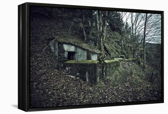 Remains of a bunker on mountain in a wood in winter in Alsace-Axel Killian-Framed Premier Image Canvas
