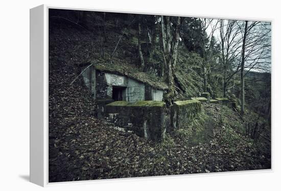 Remains of a bunker on mountain in a wood in winter in Alsace-Axel Killian-Framed Premier Image Canvas