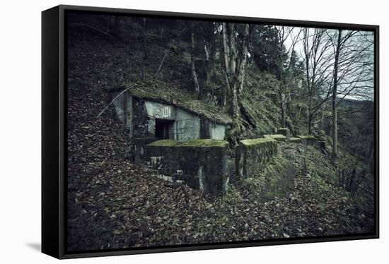 Remains of a bunker on mountain in a wood in winter in Alsace-Axel Killian-Framed Stretched Canvas