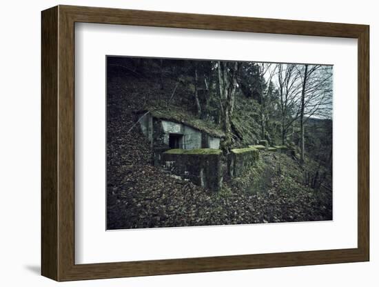 Remains of a bunker on mountain in a wood in winter in Alsace-Axel Killian-Framed Photographic Print