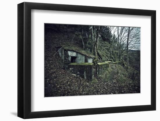 Remains of a bunker on mountain in a wood in winter in Alsace-Axel Killian-Framed Photographic Print