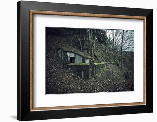 Remains of a bunker on mountain in a wood in winter in Alsace-Axel Killian-Framed Photographic Print