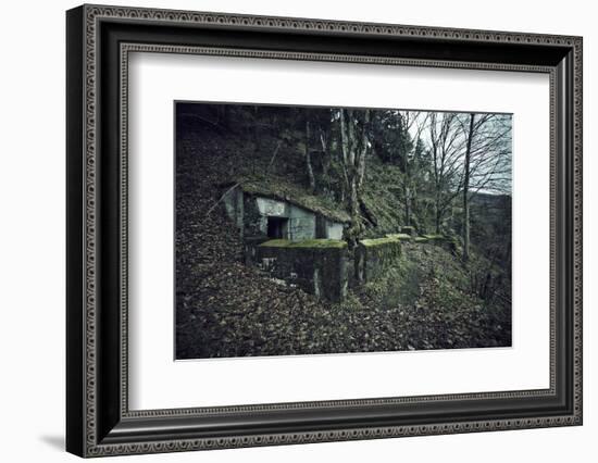 Remains of a bunker on mountain in a wood in winter in Alsace-Axel Killian-Framed Photographic Print