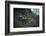 Remains of a bunker on mountain in a wood in winter in Alsace-Axel Killian-Framed Photographic Print
