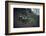 Remains of a bunker on mountain in a wood in winter in Alsace-Axel Killian-Framed Photographic Print