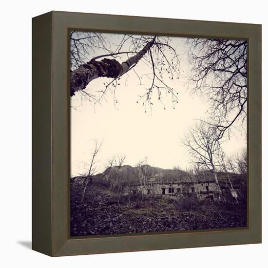 Remains of a bunker with trees at a mountain in a wood in winter in Alsace-Axel Killian-Framed Stretched Canvas