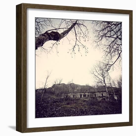 Remains of a bunker with trees at a mountain in a wood in winter in Alsace-Axel Killian-Framed Photographic Print