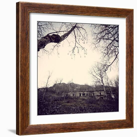 Remains of a bunker with trees at a mountain in a wood in winter in Alsace-Axel Killian-Framed Photographic Print