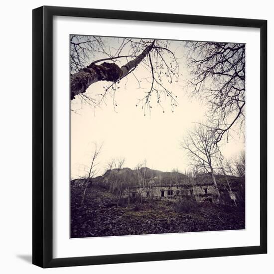 Remains of a bunker with trees at a mountain in a wood in winter in Alsace-Axel Killian-Framed Photographic Print