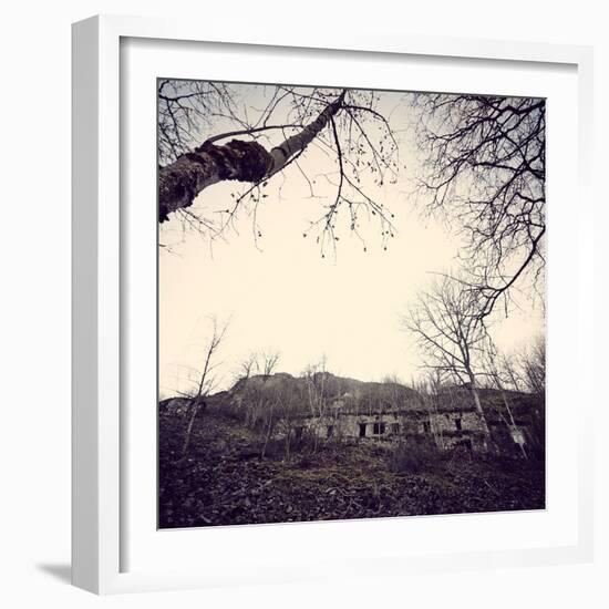 Remains of a bunker with trees at a mountain in a wood in winter in Alsace-Axel Killian-Framed Photographic Print