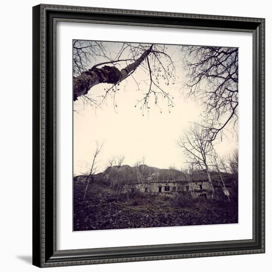 Remains of a bunker with trees at a mountain in a wood in winter in Alsace-Axel Killian-Framed Photographic Print