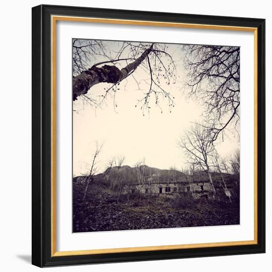 Remains of a bunker with trees at a mountain in a wood in winter in Alsace-Axel Killian-Framed Photographic Print