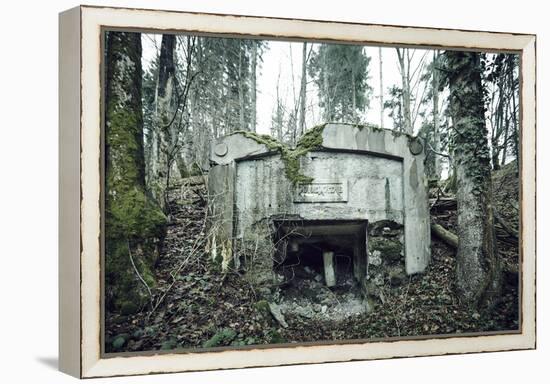Remains of a defensive wall and a bunker on a mountain in a wood in winter in Alsace-Axel Killian-Framed Premier Image Canvas