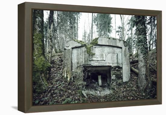 Remains of a defensive wall and a bunker on a mountain in a wood in winter in Alsace-Axel Killian-Framed Premier Image Canvas