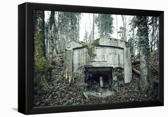 Remains of a defensive wall and a bunker on a mountain in a wood in winter in Alsace-Axel Killian-Framed Premier Image Canvas