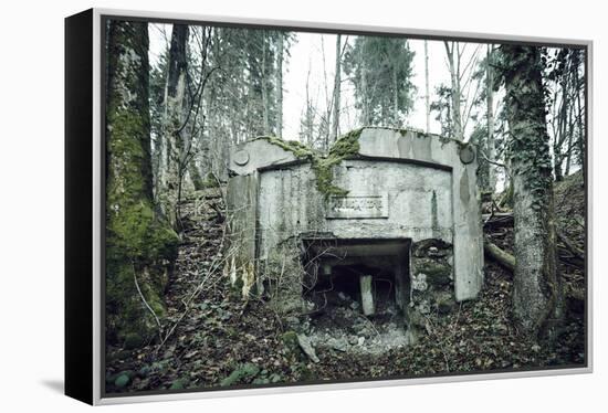 Remains of a defensive wall and a bunker on a mountain in a wood in winter in Alsace-Axel Killian-Framed Premier Image Canvas