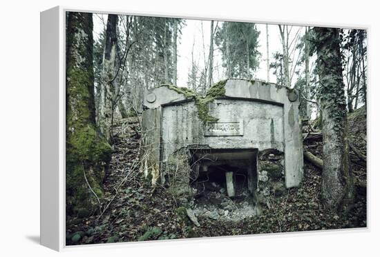 Remains of a defensive wall and a bunker on a mountain in a wood in winter in Alsace-Axel Killian-Framed Premier Image Canvas