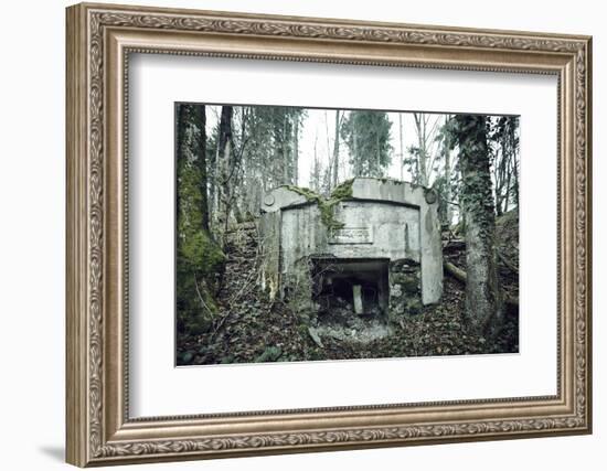 Remains of a defensive wall and a bunker on a mountain in a wood in winter in Alsace-Axel Killian-Framed Photographic Print