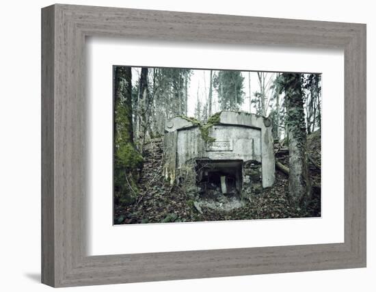 Remains of a defensive wall and a bunker on a mountain in a wood in winter in Alsace-Axel Killian-Framed Photographic Print