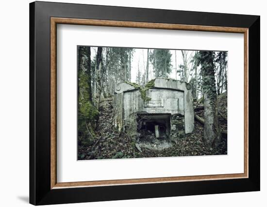 Remains of a defensive wall and a bunker on a mountain in a wood in winter in Alsace-Axel Killian-Framed Photographic Print