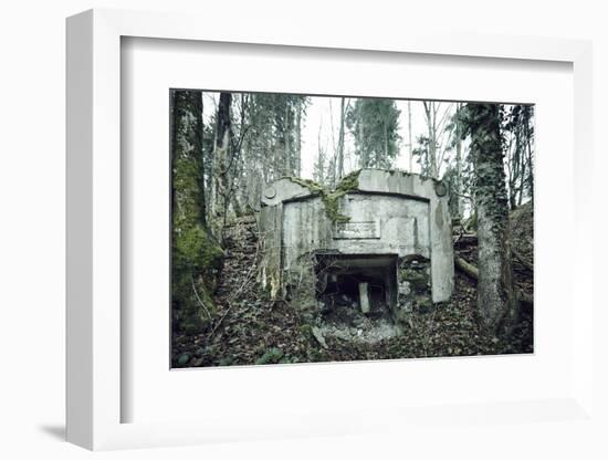 Remains of a defensive wall and a bunker on a mountain in a wood in winter in Alsace-Axel Killian-Framed Photographic Print