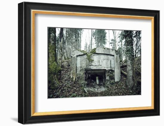 Remains of a defensive wall and a bunker on a mountain in a wood in winter in Alsace-Axel Killian-Framed Photographic Print