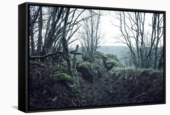 Remains of a defensive wall and a bunker on a mountain in a wood in winter in Alsace-Axel Killian-Framed Stretched Canvas