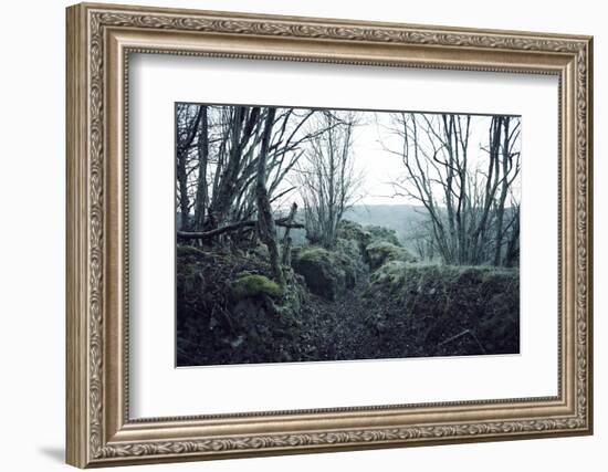 Remains of a defensive wall and a bunker on a mountain in a wood in winter in Alsace-Axel Killian-Framed Photographic Print