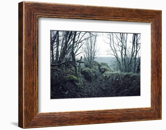 Remains of a defensive wall and a bunker on a mountain in a wood in winter in Alsace-Axel Killian-Framed Photographic Print