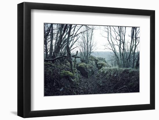 Remains of a defensive wall and a bunker on a mountain in a wood in winter in Alsace-Axel Killian-Framed Photographic Print