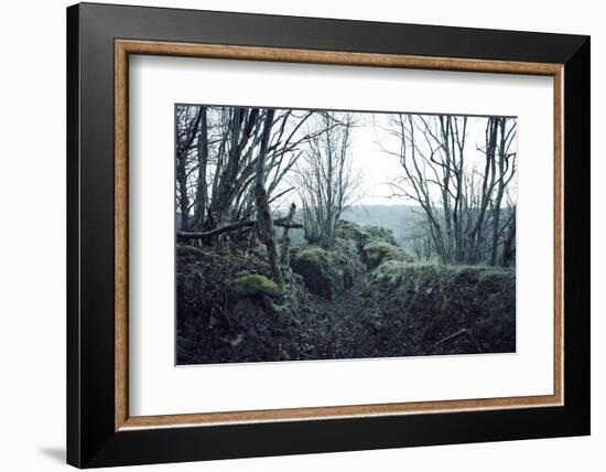 Remains of a defensive wall and a bunker on a mountain in a wood in winter in Alsace-Axel Killian-Framed Photographic Print