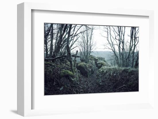 Remains of a defensive wall and a bunker on a mountain in a wood in winter in Alsace-Axel Killian-Framed Photographic Print