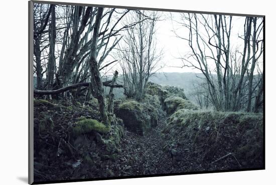 Remains of a defensive wall and a bunker on a mountain in a wood in winter in Alsace-Axel Killian-Mounted Photographic Print