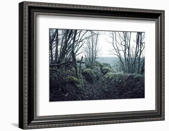 Remains of a defensive wall and a bunker on a mountain in a wood in winter in Alsace-Axel Killian-Framed Photographic Print