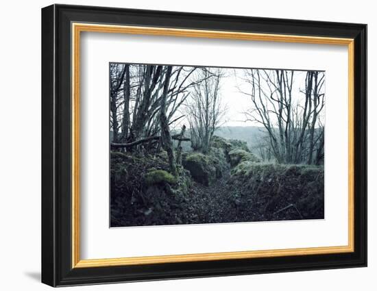 Remains of a defensive wall and a bunker on a mountain in a wood in winter in Alsace-Axel Killian-Framed Photographic Print