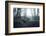 Remains of a defensive wall and a bunker on a mountain in a wood in winter in Alsace-Axel Killian-Framed Photographic Print