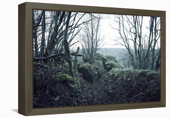 Remains of a defensive wall and a bunker on a mountain in a wood in winter in Alsace-Axel Killian-Framed Premier Image Canvas