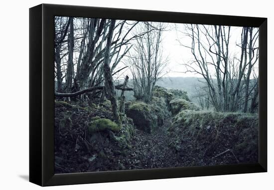 Remains of a defensive wall and a bunker on a mountain in a wood in winter in Alsace-Axel Killian-Framed Premier Image Canvas