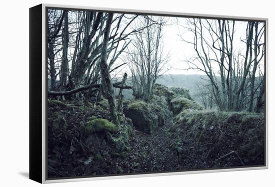 Remains of a defensive wall and a bunker on a mountain in a wood in winter in Alsace-Axel Killian-Framed Premier Image Canvas