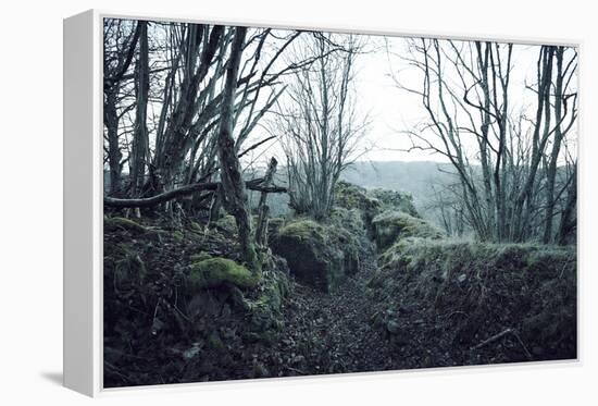 Remains of a defensive wall and a bunker on a mountain in a wood in winter in Alsace-Axel Killian-Framed Premier Image Canvas