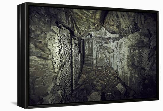 Remains of a room of a bunker on a mountain in a wood in winter in Alsace-Axel Killian-Framed Premier Image Canvas