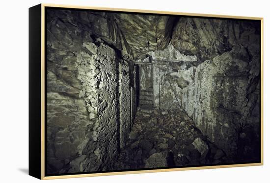 Remains of a room of a bunker on a mountain in a wood in winter in Alsace-Axel Killian-Framed Premier Image Canvas