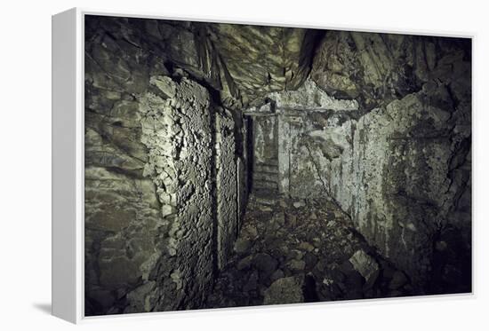 Remains of a room of a bunker on a mountain in a wood in winter in Alsace-Axel Killian-Framed Premier Image Canvas