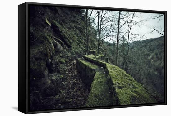 Remains of a wall and a bunker on a mountain in a wood in winter in Alsace-Axel Killian-Framed Stretched Canvas