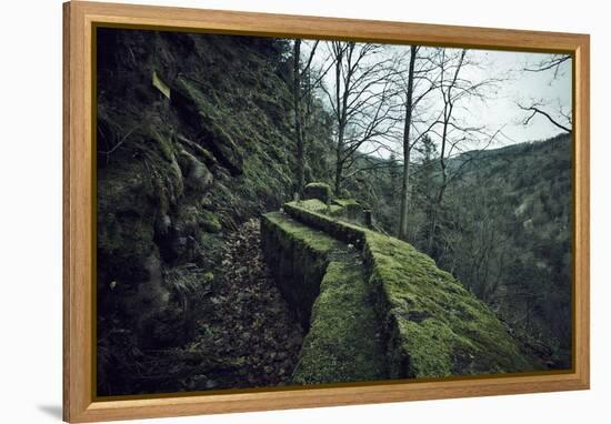 Remains of a wall and a bunker on a mountain in a wood in winter in Alsace-Axel Killian-Framed Premier Image Canvas