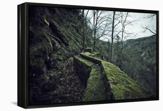 Remains of a wall and a bunker on a mountain in a wood in winter in Alsace-Axel Killian-Framed Premier Image Canvas