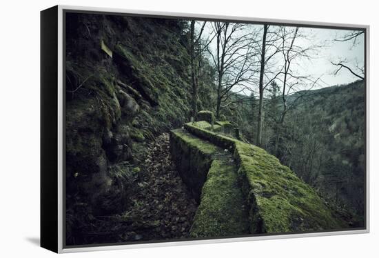 Remains of a wall and a bunker on a mountain in a wood in winter in Alsace-Axel Killian-Framed Premier Image Canvas