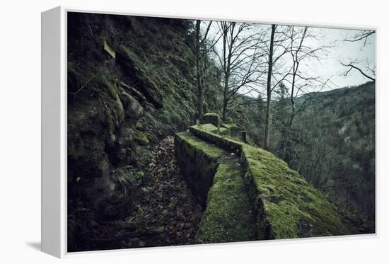 Remains of a wall and a bunker on a mountain in a wood in winter in Alsace-Axel Killian-Framed Premier Image Canvas